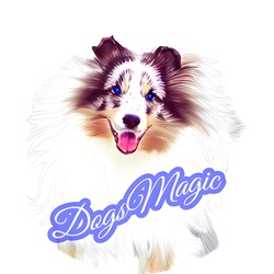 DogsMagic-logo